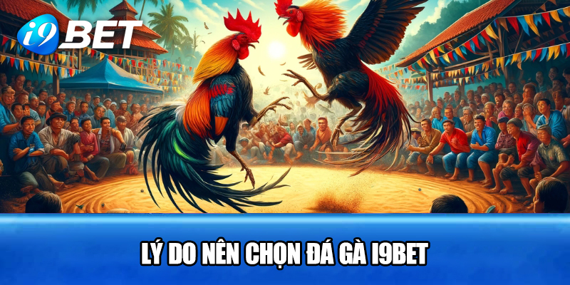 Lý Do Nên Chọn Đá Gà I9BET